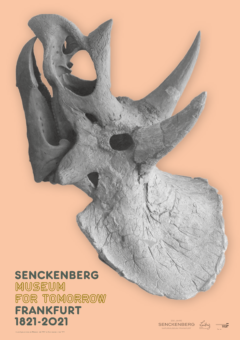 200 Jahre Senckenberg Naturmuseum Frankfurt Triceratops-Schädel