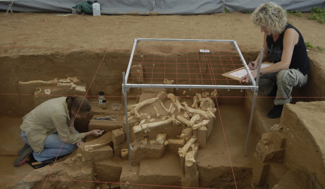 Blick auf die Grabung Untermaßfeld mit Graphikerin bei der Dokumentation der Funde in einem Planquadrat