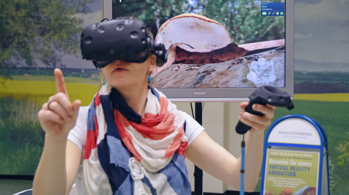 Eine VR-Nutzerin erkundet im Görlitzer Naturkundemuseum virtuell den Lebensraum „Laubstreu“.