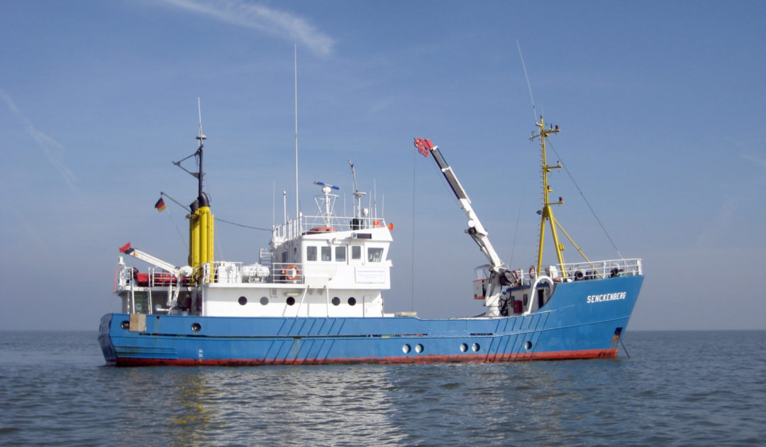DZMB Forschungsflotte