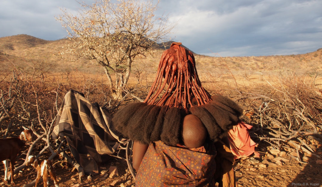 Himba Paläoanthropologie