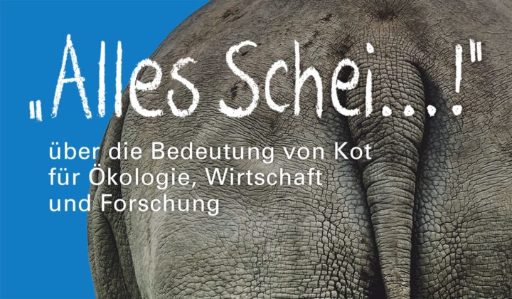 Banner Sonderausstellung Alles Scheiße Görlitz 2019 groß