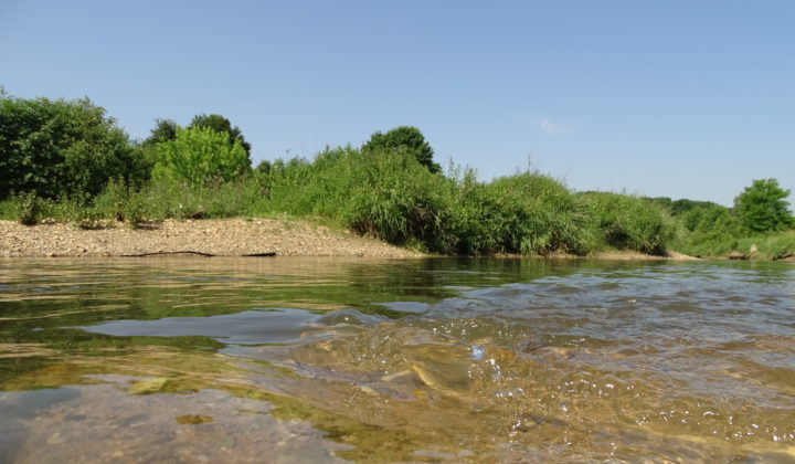 Fließgewässerökologie und Naturschutzforschung