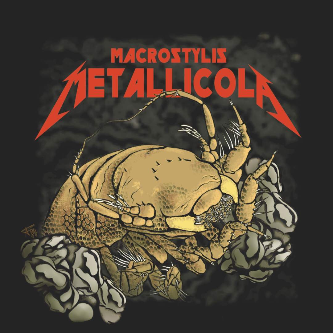 Pm Metallica 27.02.2020 Logo