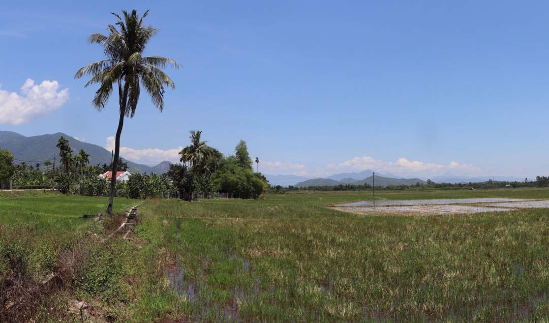 Südvietnam - Reisfelder bei Hoi Xuong pan