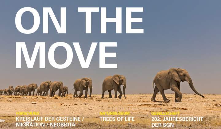 Cover Mitgliedermagazin mit Elefanten