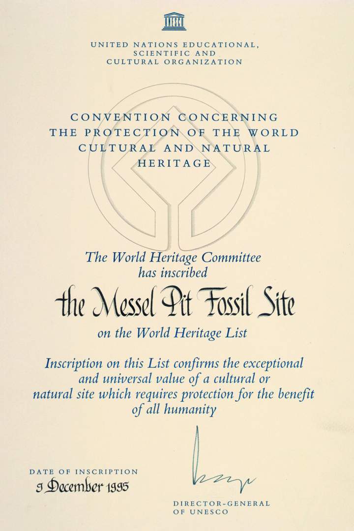 UNESCO Urkunde