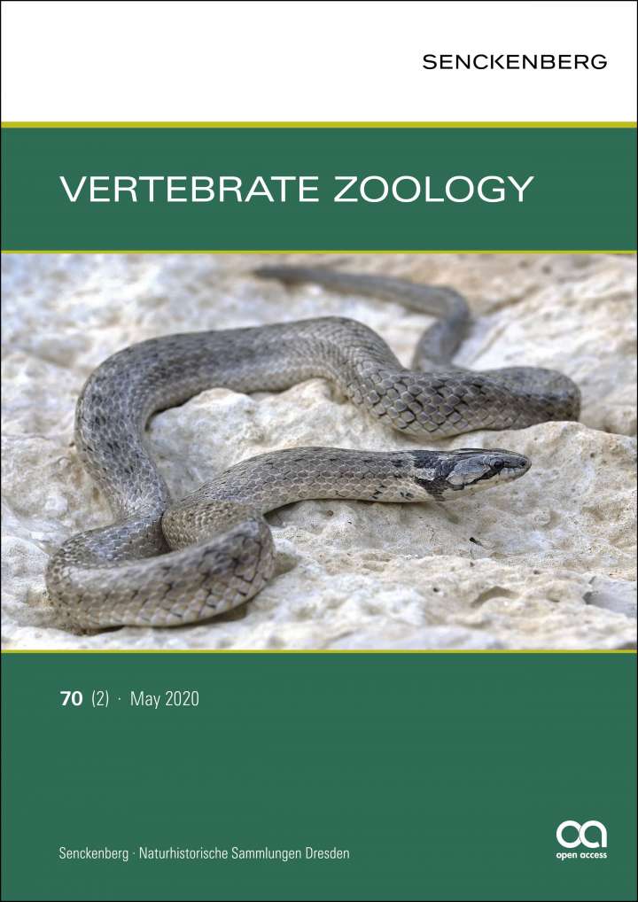 Vertebrate Zoology 70 (2) 2020 Cover, Senckenberg Gesellschaft für Naturforschung