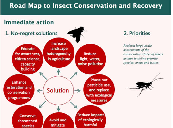 PM Insektenschutz 7.1.2020