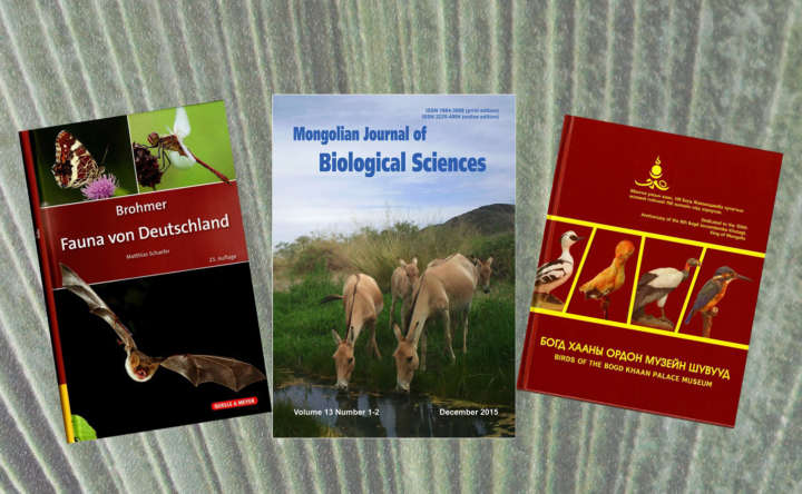 Publikationen Mammalogie Görlitz