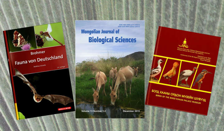 Publikationen Mammalogie Görlitz