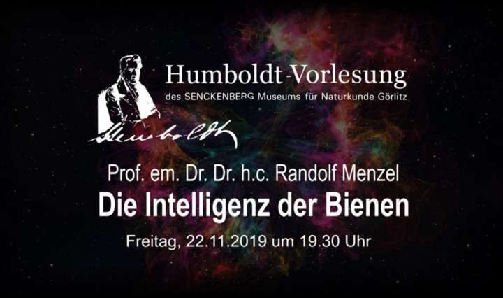 Banner Humboldtvorleseung 2019