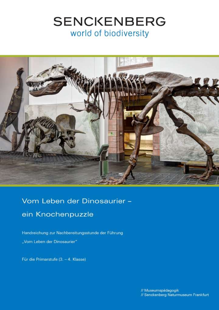 Handreichung Knochenpuzzle Dinosaurier Cover
