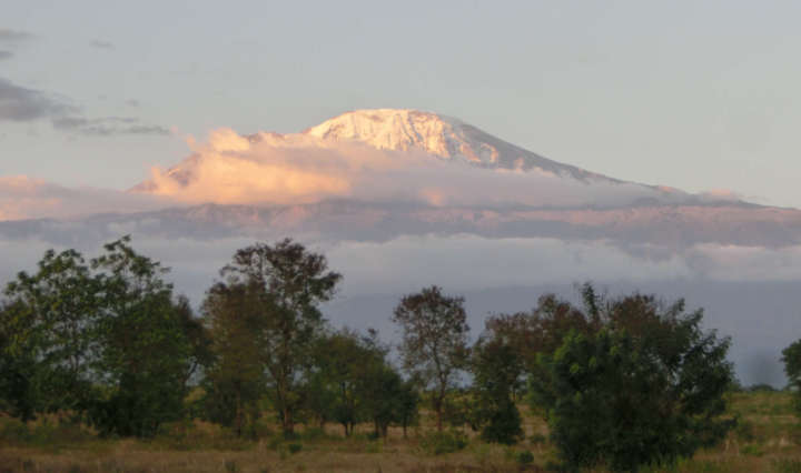 pm Großprojekt am Kilimandscharo 3.7.2020