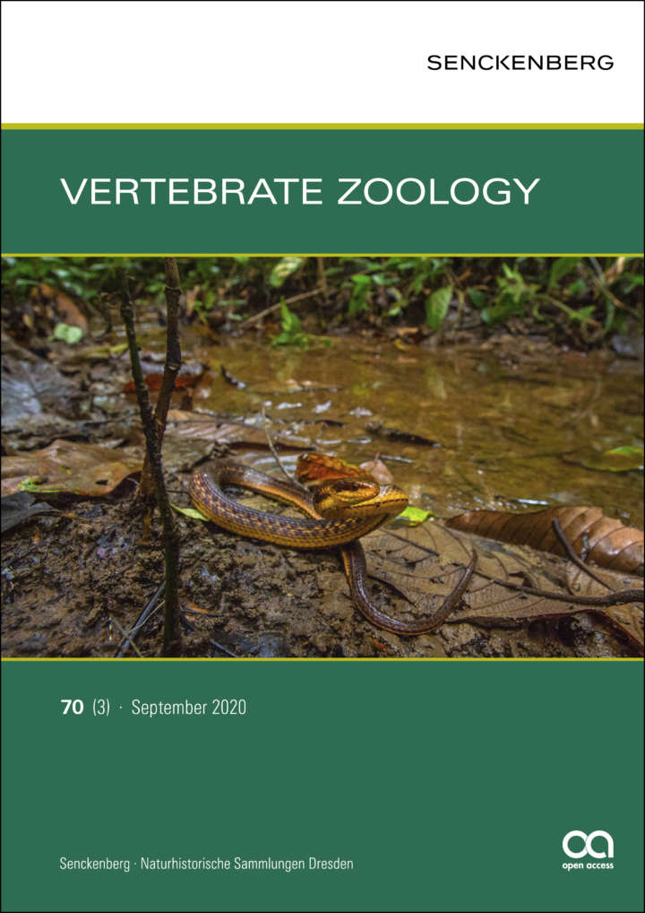Herpetoreas pealii photo by Dhritiman_Mukherjee Vertebrate Zoology 70 (3) 2020