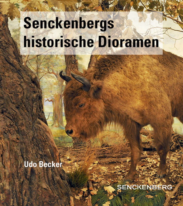 Cover Senckenbergs historische Dioramen