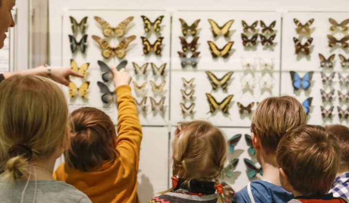 Kinder vor Schmetterlingen