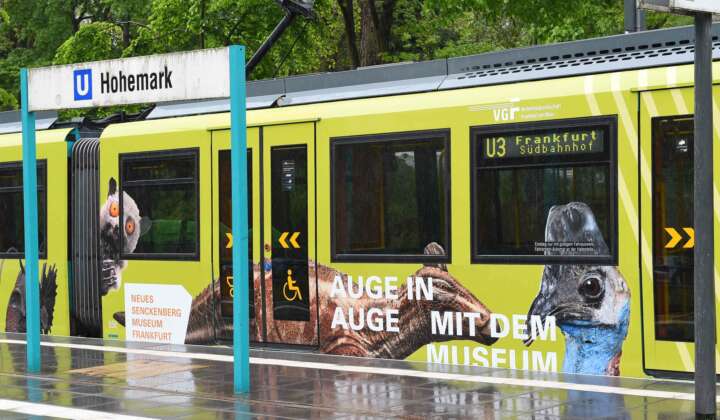 Senckenberg U-Bahn 2021