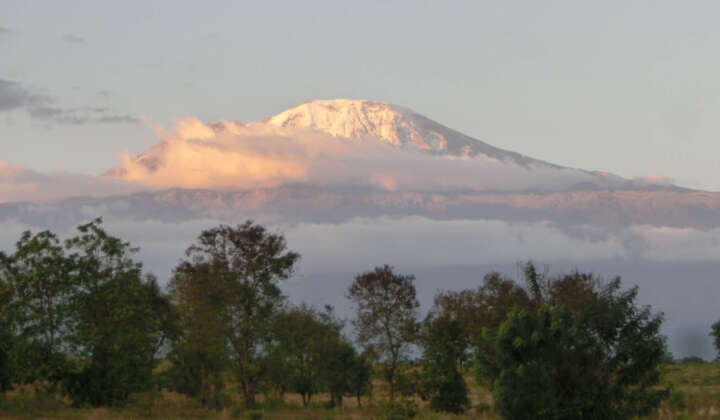 pm Großprojekt am Kilimandscharo 3.7.2020
