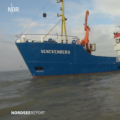NDR Nordseereport mit Forschungskutter Senckenberg