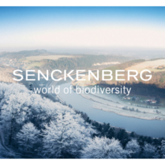 Ein Weihnachtsgruß von Senckenberg