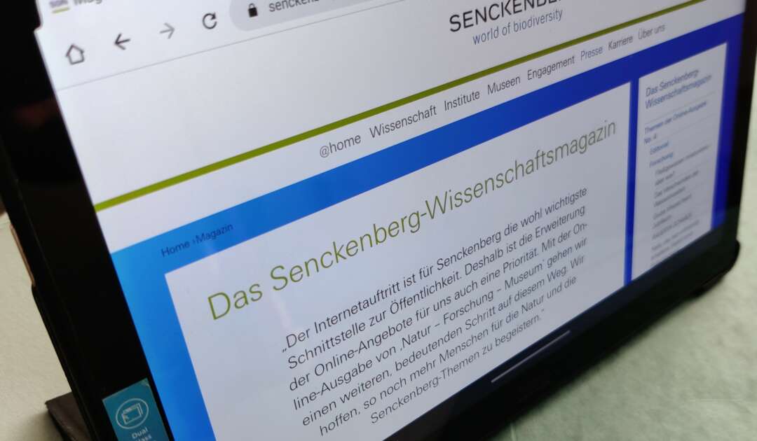Senckenberg Online-Magazin