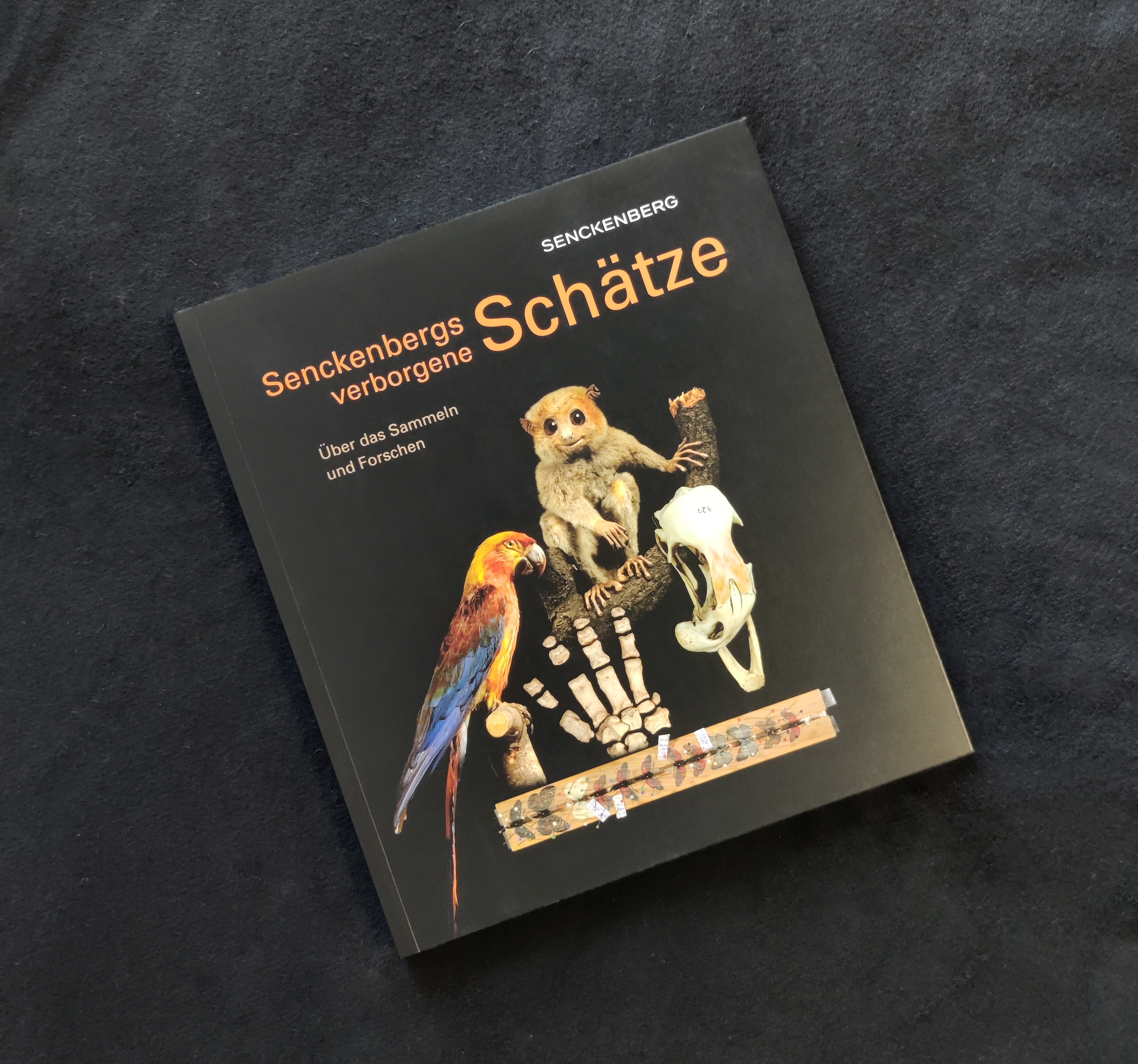 Buch „Senckenbergs verborgene Schätze“