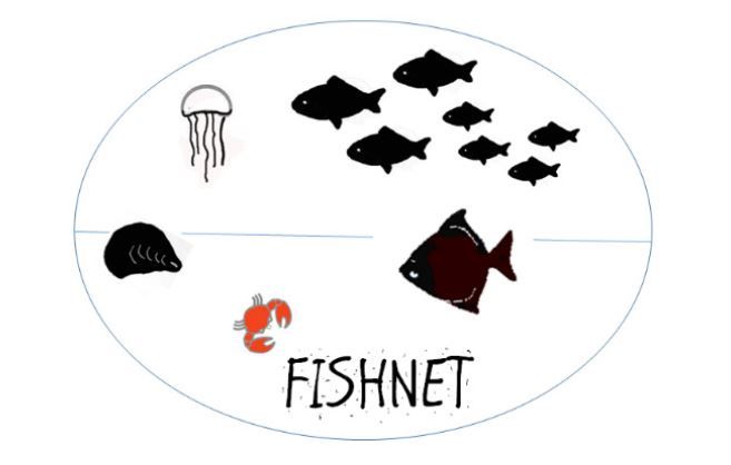 Fishnet Communications