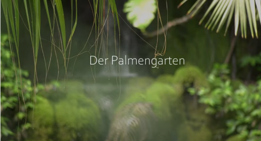 Dokumentarfilm über den Frankfurter Palmengarten