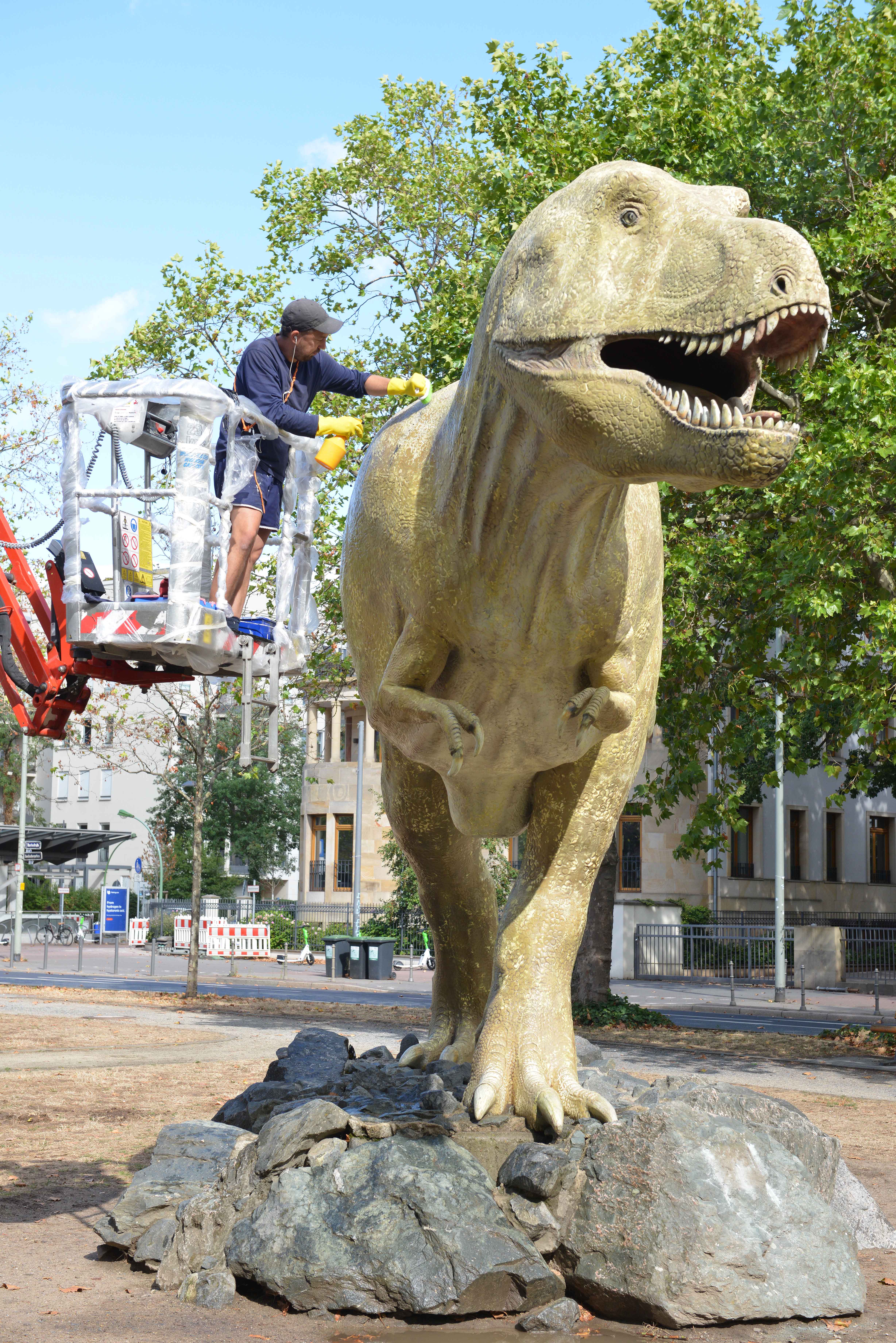 Sanierung T-rex 2022