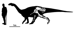PM_Tuebingosaurus maierfritzorum