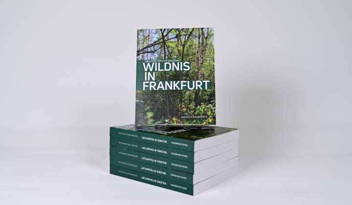 Wildnis in Frankfurt Cover Bilder