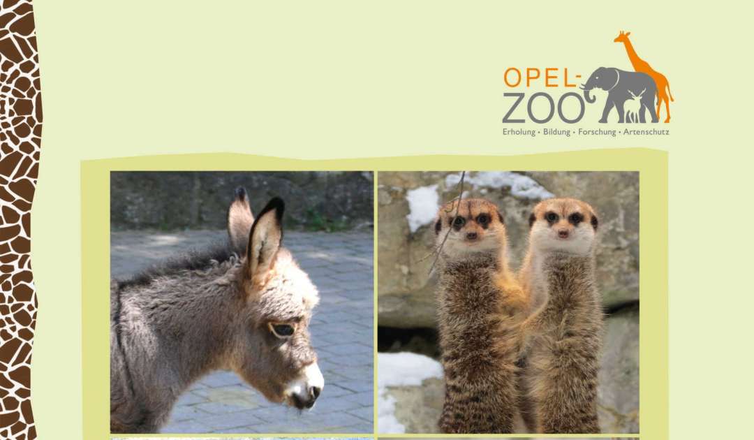 Winter-Rundgang im Opel-Zoo