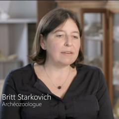 Die Geschichte von Mensch und Tier arte Britt Starkovich