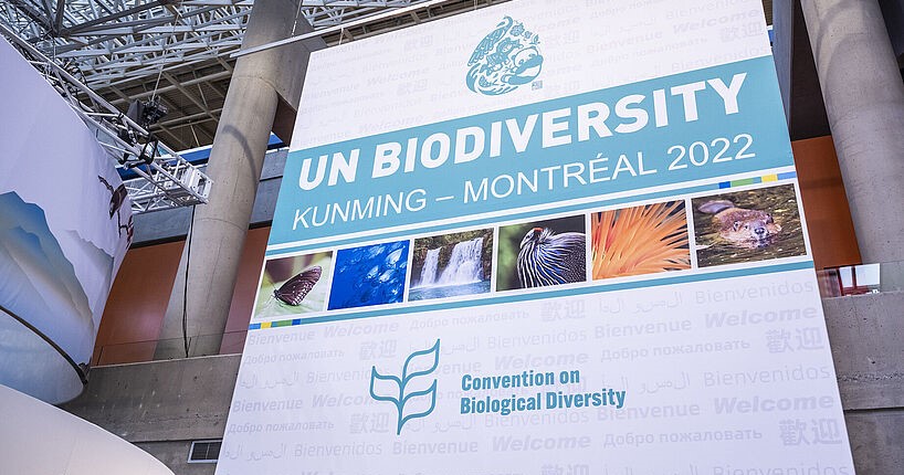 UN Biodiversity, COP15 06 December 2022 - General