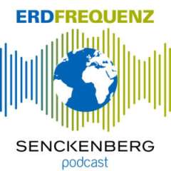 Podcast Erdfrequenz Logo