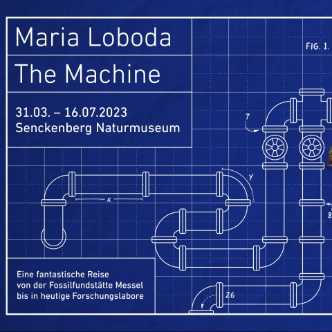 Maria Loboda - The Machine
