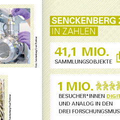 Senckenberg in Zahlen