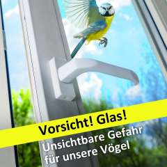 »Vorsicht! Glas! Unsichtbare Gefahr für unsere Vögel«