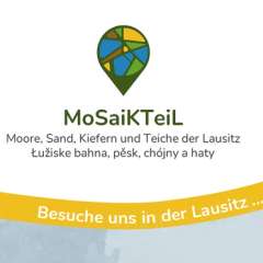 MoSaiKTeiL Sticker-Sammelheft März 2024