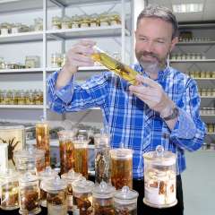 Sammlung Arachnologie Dr. Peter Jäger